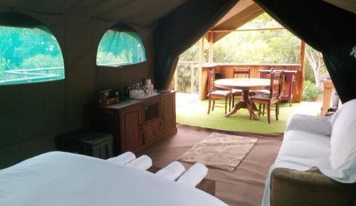 Tent