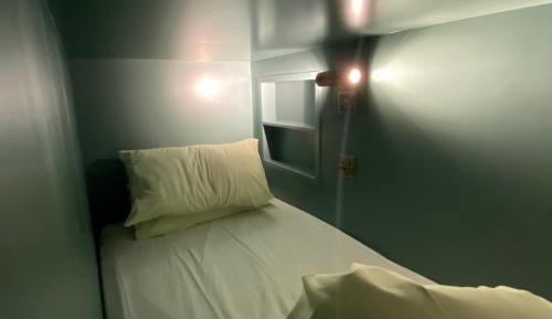 10-Bed Mixed Dormitory Room