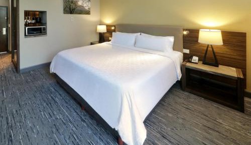 King Suite with Mountain View - High Floor
