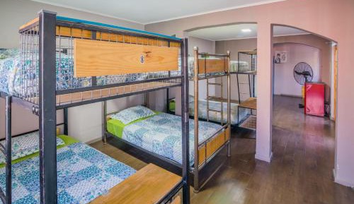 Bed in 8-Bed Dormitory Room