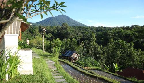 Studio with Mountain View