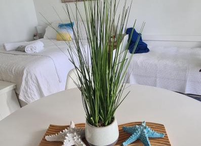 Studio Apartment with Sea View