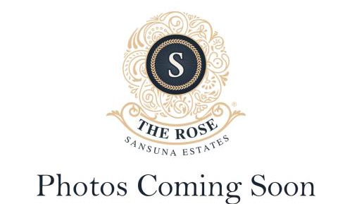 Bunk Bed in Mixed Dormitory Room