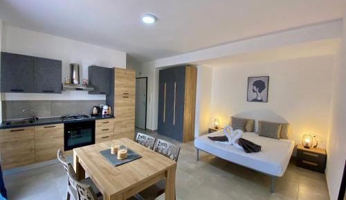 Studio Apartment