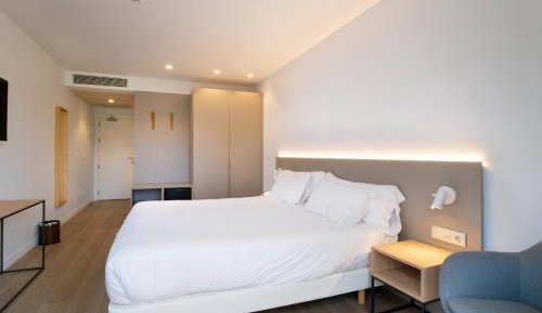 Double or Twin Room with Terrace