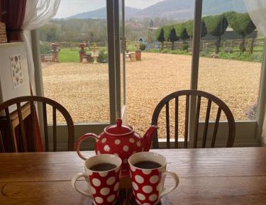 Studio with Garden View