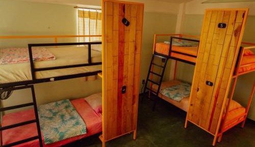 Bunk Bed in Mixed Dormitory Room