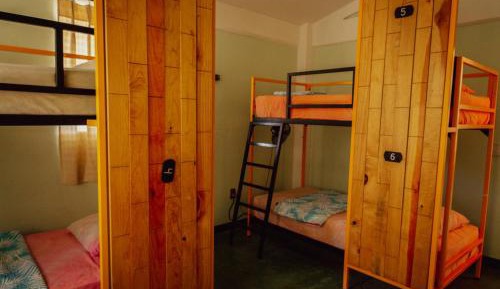 Bunk Bed in Mixed Dormitory Room