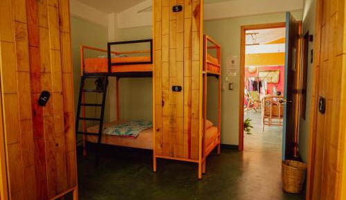 Bunk Bed in Mixed Dormitory Room