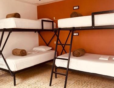 Bed in 4-Bed Mixed Dormitory Room