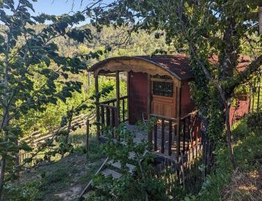 One-Bedroom Chalet