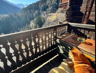 One-Bedroom Chalet