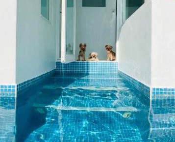 Pet friendly - Villa with Sea View