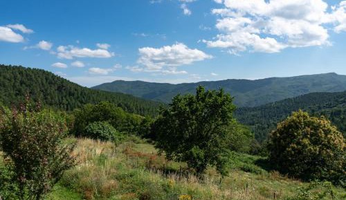 Double Room with Mountain View