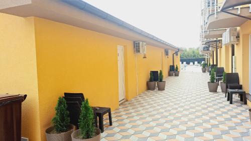 Apartment - Ground Floor