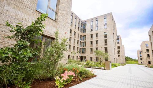 Dunlin Village Single En Suite Room in Shared Apartment