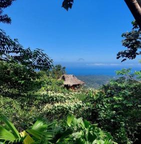 Deluxe Bungalow with Sea View
