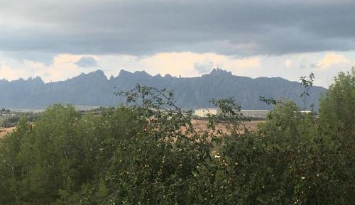 Double Room with Pool View