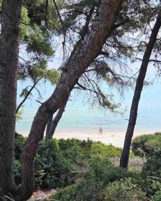Villa - Beach Front