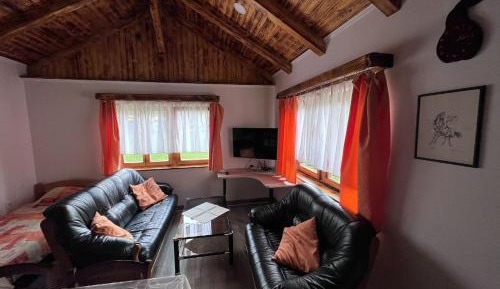 Deluxe One-Bedroom Apartment