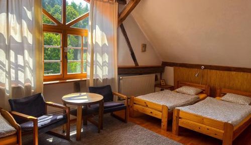 6-Bed Mixed Dormitory Room