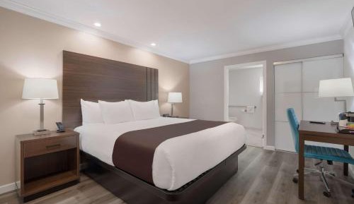 King Room with Roll-In Shower - Disability Access