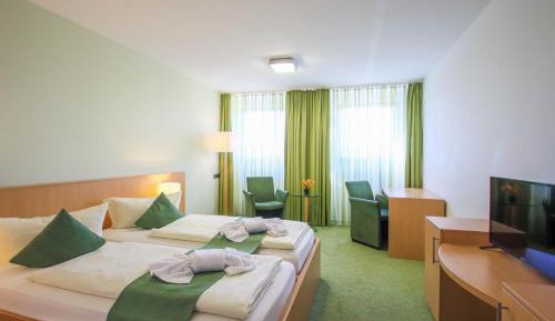 Double Room with Mountain View