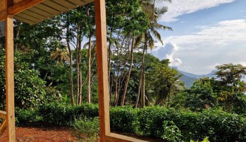 Double Deluxe Room – with Sea View
