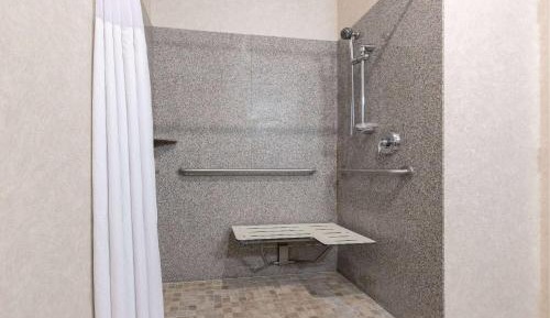 1 King Bed, Mobility Accessible Suite, Roll-In Shower, Non-Smoking