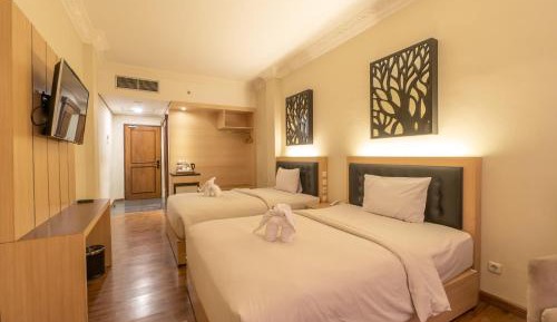 Deluxe Twin Room