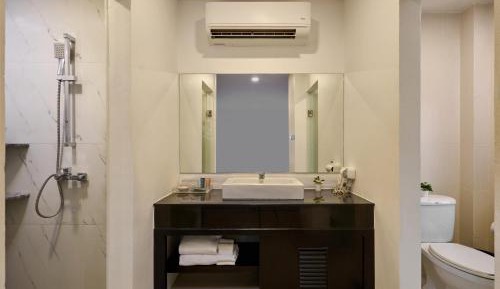 Sea Turtle Suite