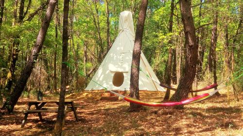 Teepee Sioux