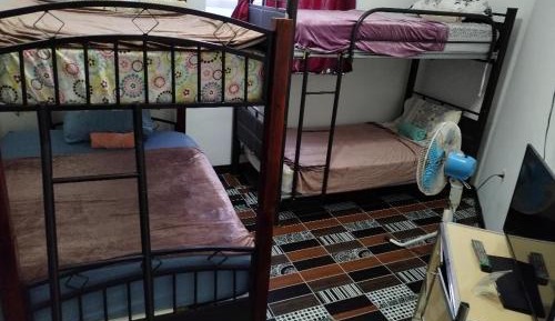 Bed in 4-Bed Dormitory Room
