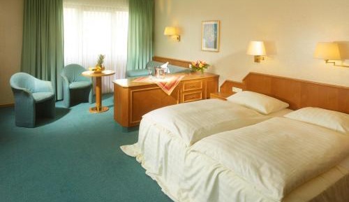 Business Double Room