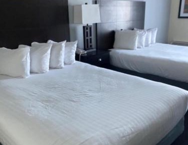 Queen Suite with Two Queen Beds with Jacuzzi - Countryside- Non-Smoking