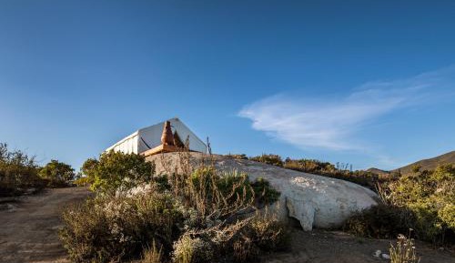 Tent Todos Santos 