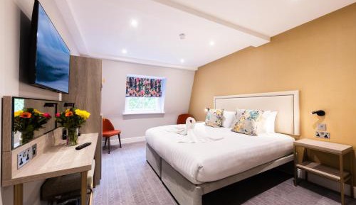 Superior Double or Twin Room
