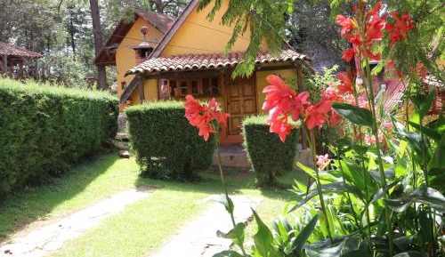 Cottage (2 Adults)