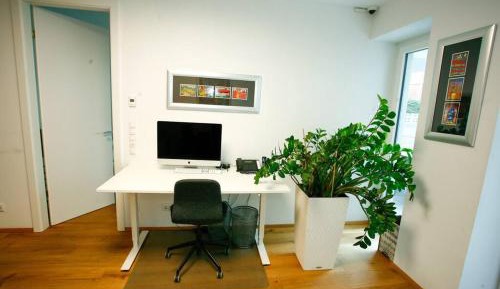 One-Bedroom Apartment with Garden View