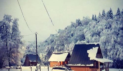 Holiday Home
