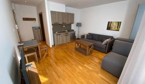 Studio Apartment