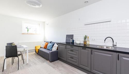 Studio with Sofa Bed