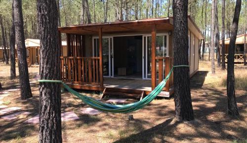Deluxe Bungalow