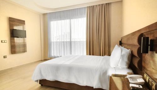 Superior Queen Room