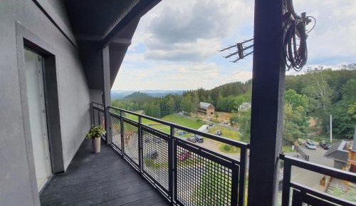 Penthouse Apartment
