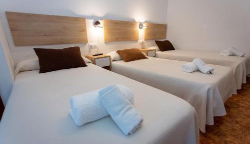 Basic Triple Room