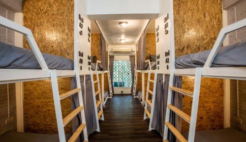 Bunk Bed in Mixed Dormitory Room