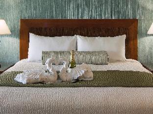 Partial Ocean View, King ADA