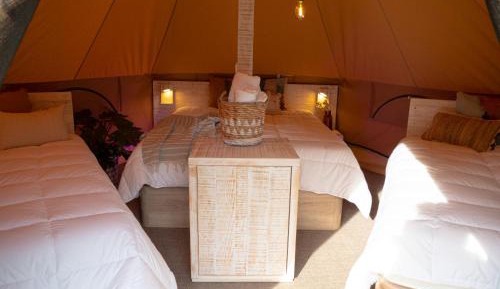 Premium Tent