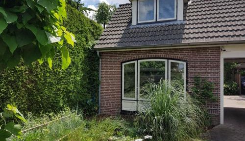 Apartment - Split Level